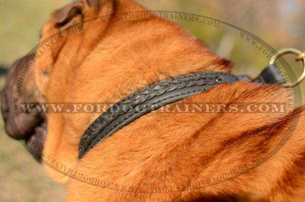 Leather Braiding on Choke Dog Collar