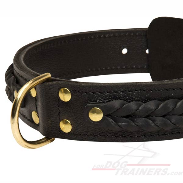 Sturdy Leather Dog Collar with Brass Hardware