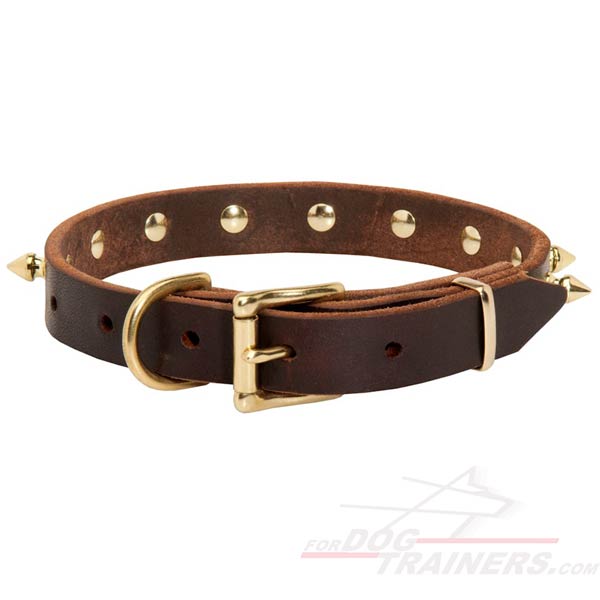 Leather Cane Corso Spiked Collar with brass fittings