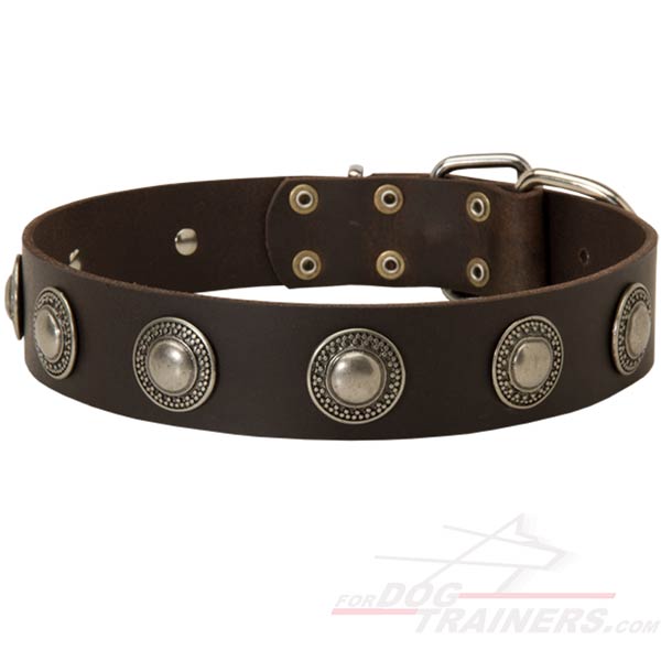 Perfect Leather Dog Collar with Conchos