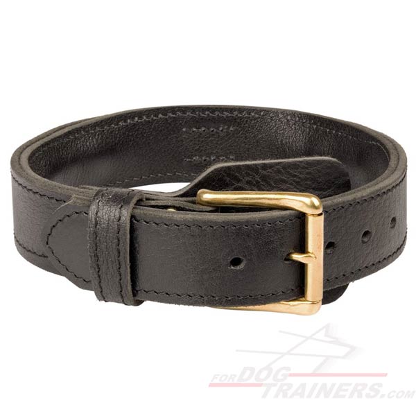 Leather Collar with brass hardware