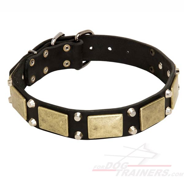 War Leather Dog Collar with Riveted Details
