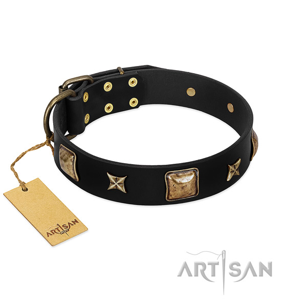 Mod Dog Collar Adorned with Awesome Embellishment