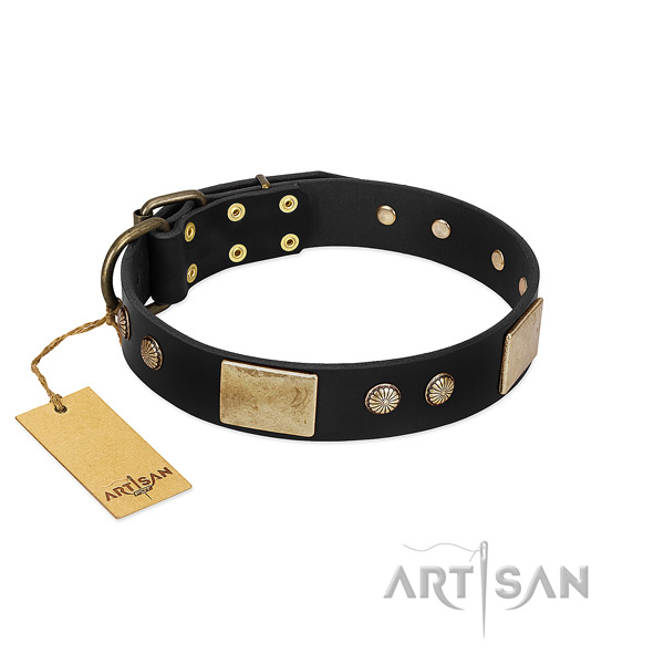 Trendy Dog Collar Adorned with Large Plates and Tiny Studs