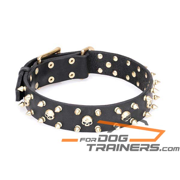 Designer Leather Dog Collar with Brass Plated Decorations