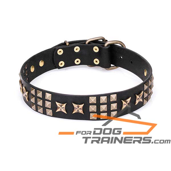 Stylish Dog Collar with Brass Plated Adornment