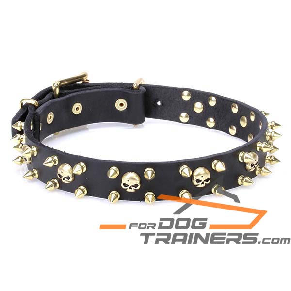 Stylish Dog Collar with Adornment
