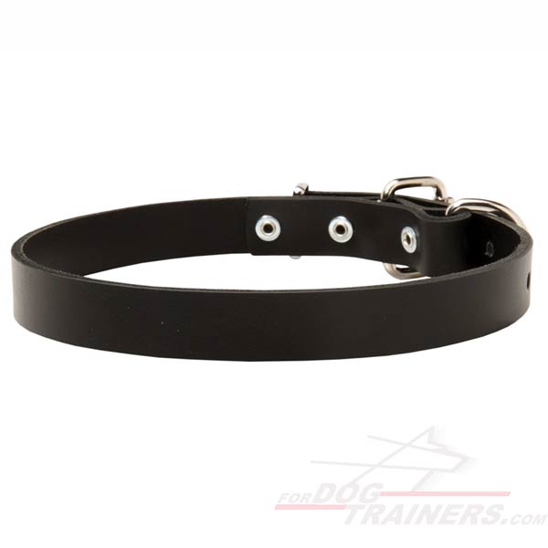 Leather Dog Collar with Classic Design