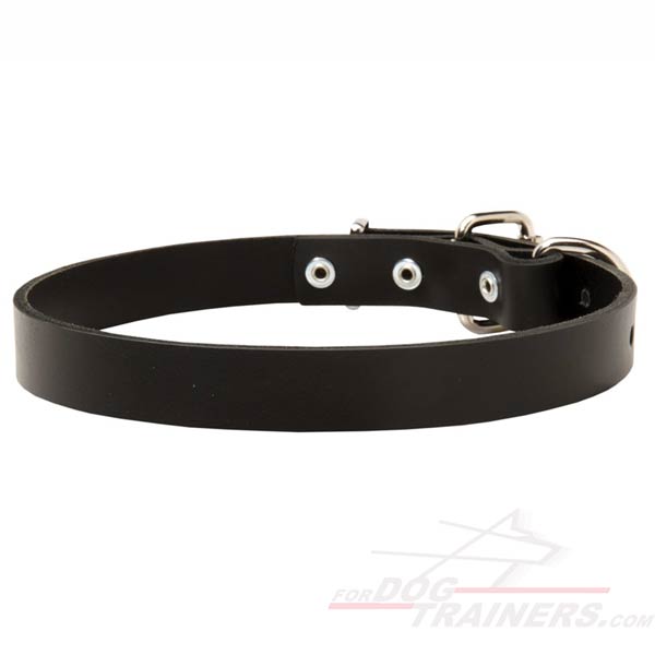 Extra Strong Leather Cane Corso Collar