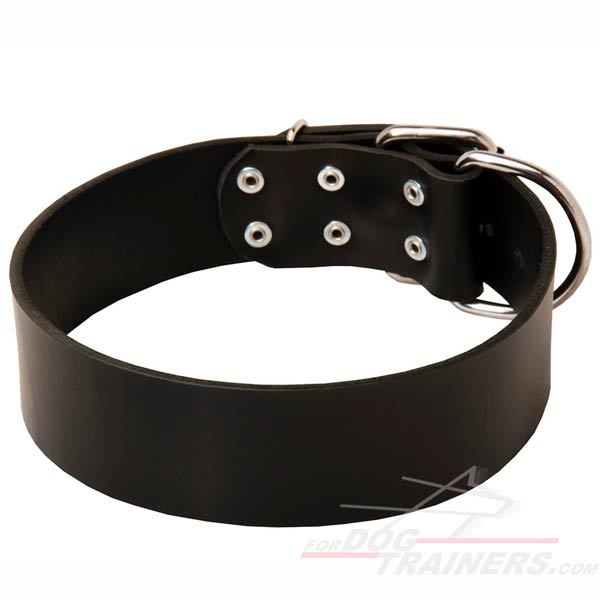 Extra Wide Leather Dog Collar