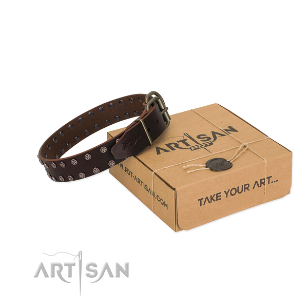 Brown Leather Dog Collar with Silver-like Plated Stars