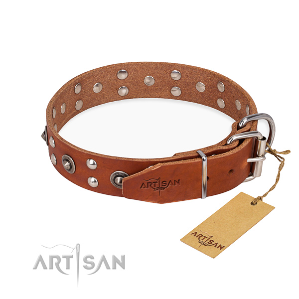 Adorned Leather Dog Collar with Studs