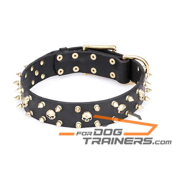 Designer Leather Dog Collar with Spikes and Skulls