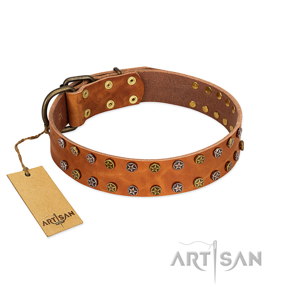 Original Design Leather Dog Collar with Stars