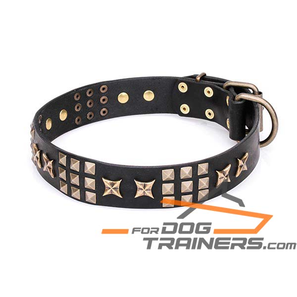 Stylish Dog Collar with Brass Plated Adornment