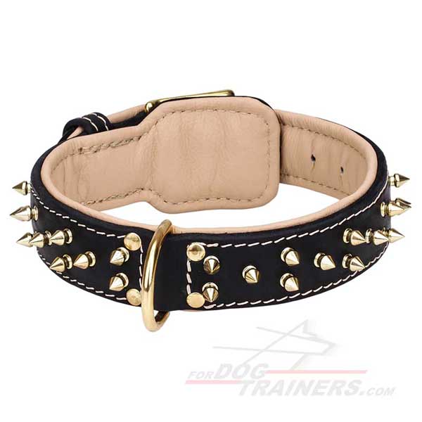 Nappa Dog Collar Leather Spiked and Padded 
