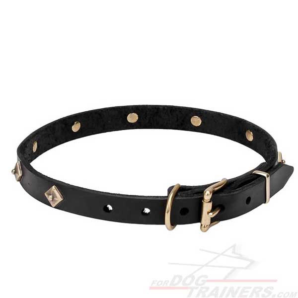 Narrow Canine Leather Collar with Rivets