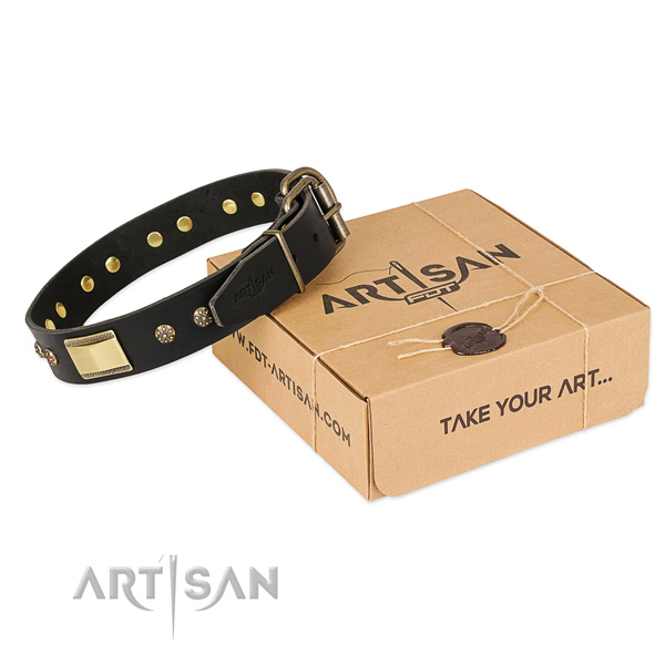 Try Quality Dog Collar