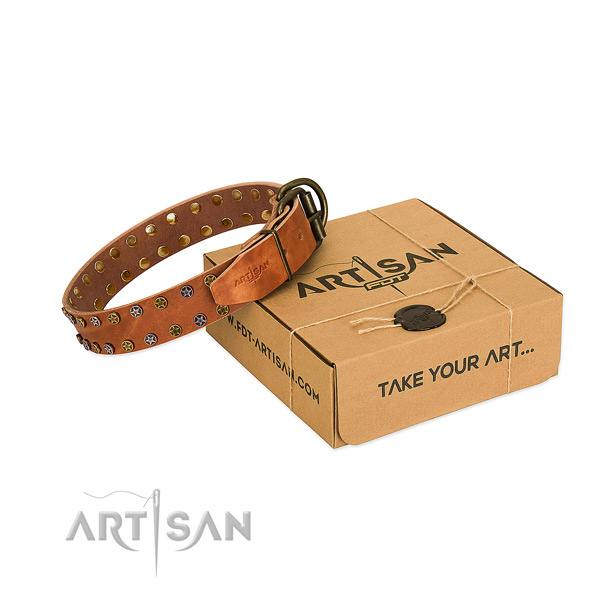 Tan Leather Dog Collar with Old Bronze-like Plated Stars