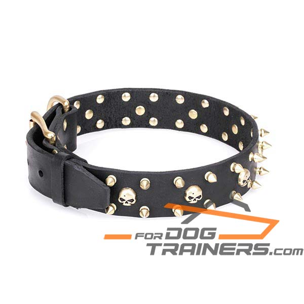 Perfectly Olied Leather Dog Collar