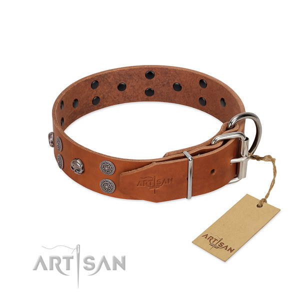Tan Leather Dog Collar with Riveted Hardware