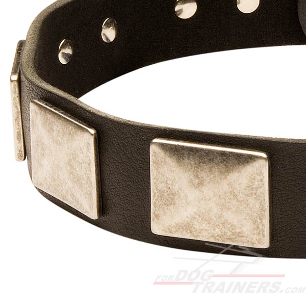 War-like Leather Dog Collar for Walking