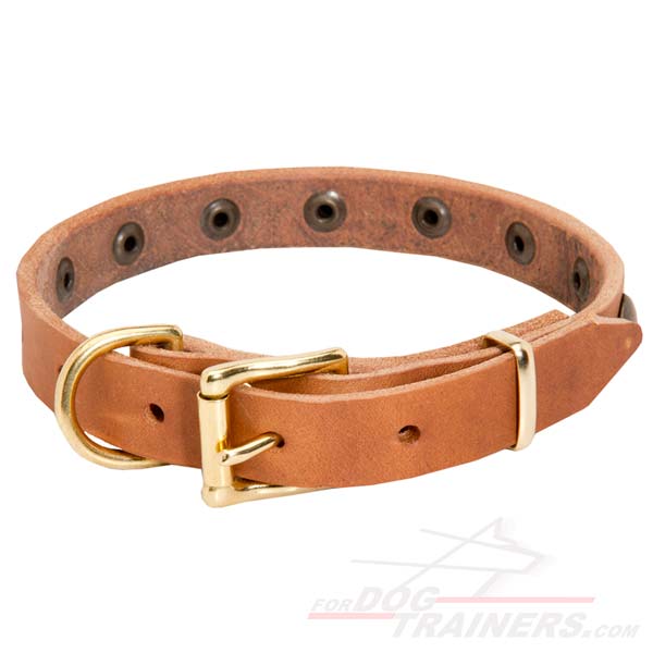 Leather Dog Collar with strong hardware