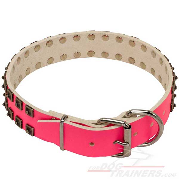 Leather Canine Collar with Solid Welded Hardware