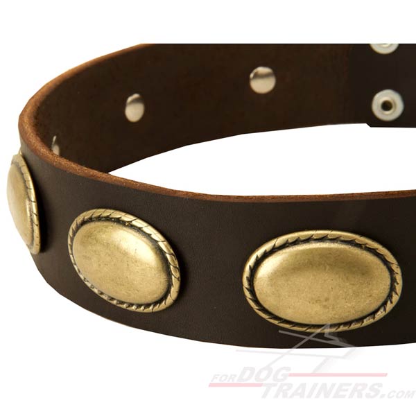 Handcrafted Leather Dog Collar