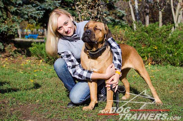 Strong Obedience Training Leather Dog Collar for Cane Corso