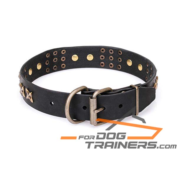 Leather Dog Collar with D-ring 