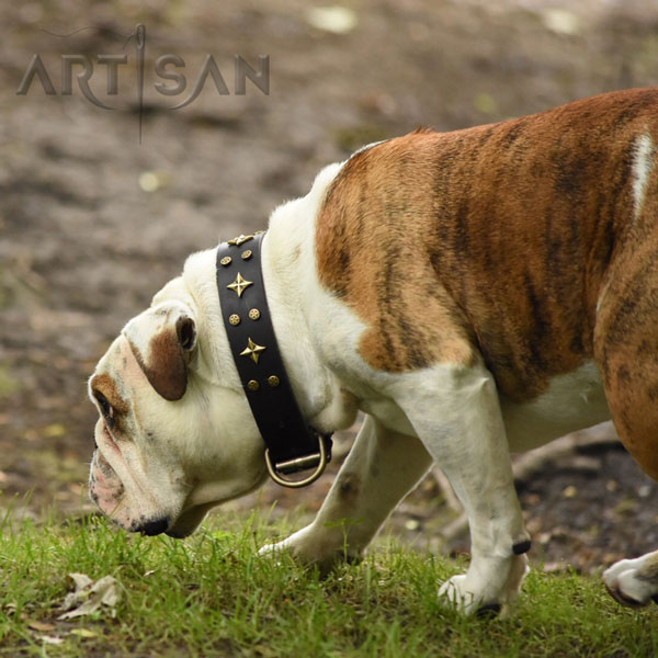 Dash Walking in Soft and Comfortable Leather Decorated English Collar