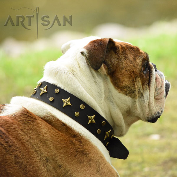 Exclusive brown leather dog collar with decorationsDash Looks All the Rage in Exclusive FDT Artisan Brown Leather Collar