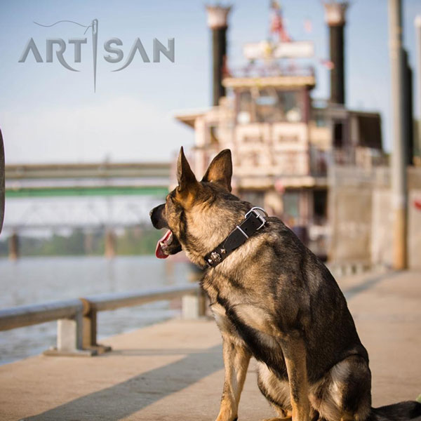 Leather German Shepherd collar with buckle for reliable handling