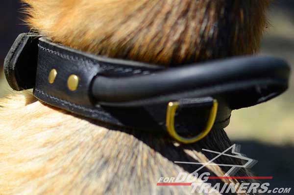 Leather Handle on Leather Training German Shepherd Collar Protection
