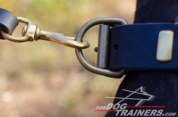 Strong brass D-ring for leash attachment
