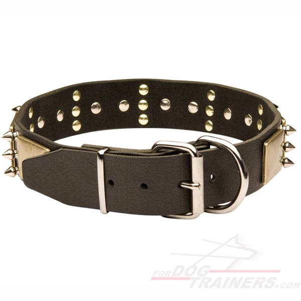 New Spiked and Plated Leather Cane Corso Collar with Unbreakable Hardware for Training