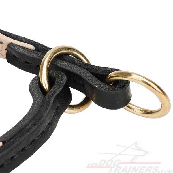 Choose only Quality Dog Collar