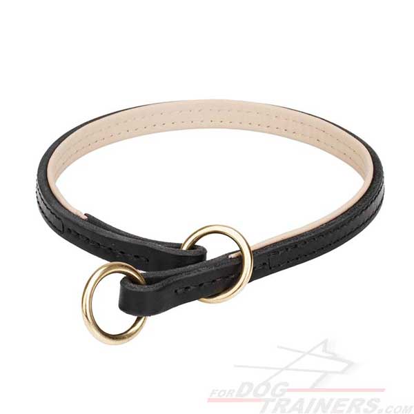 Leather Choke Collar for Training and Walking