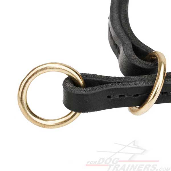 Choke Leather Collar with Nappa Padding