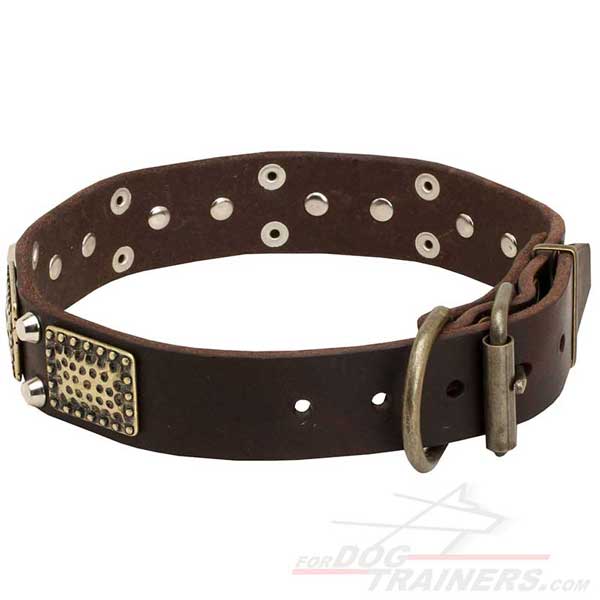Leather dog collar with vintage brass plates and nickel studs