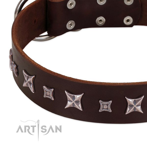 Fabulous design by FDT Artisan - leather dog collar for daily walks