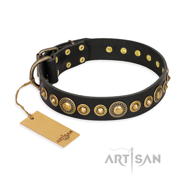 Black leather dog collar with inimitable studs