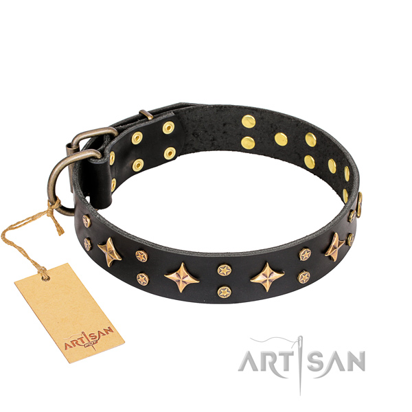 Decorated leather dog collar