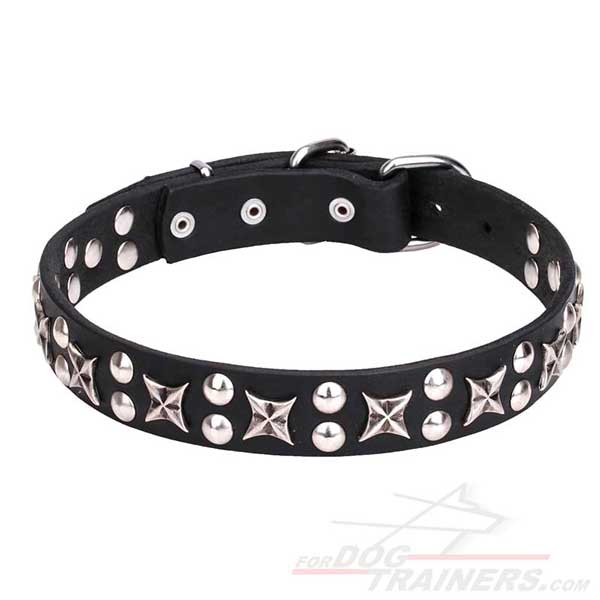 Leather collar with metal stars and studs for your dog