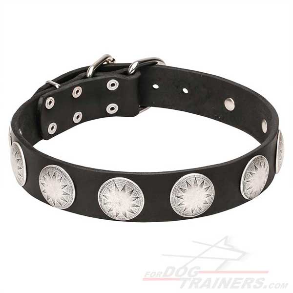 Leather collar with metal circles for your dog