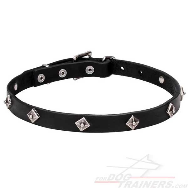 Leather collar with studs for your dog