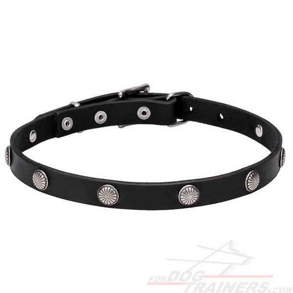 Leather collar with metal flowers for your dog