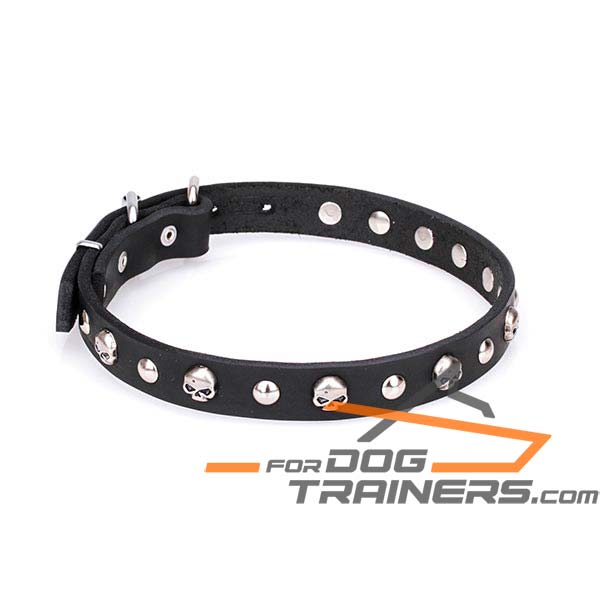 Adorned leather dog collar