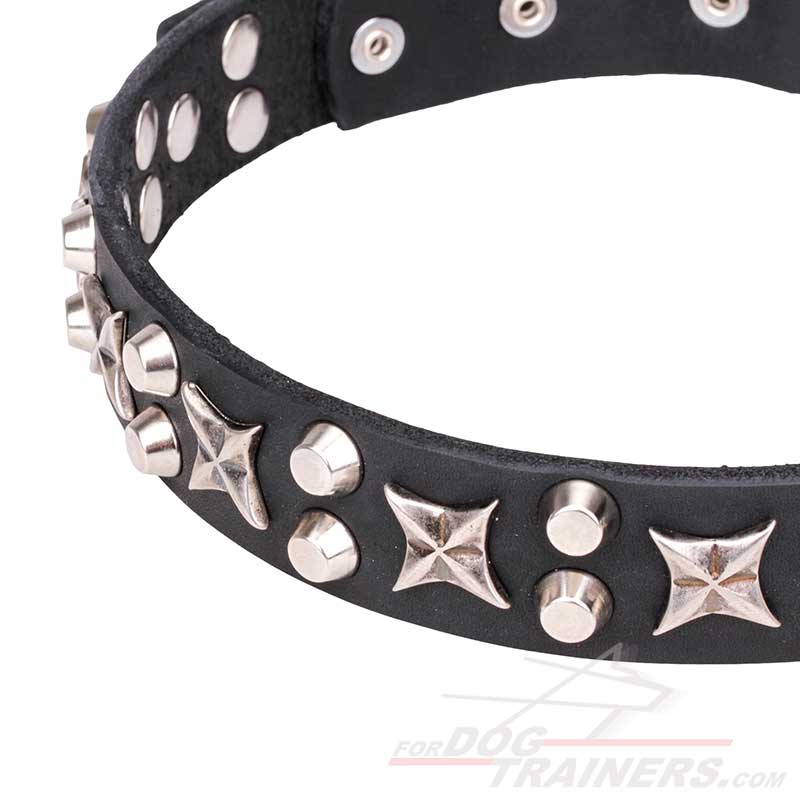 Purchase Studded Leather Dog Collar| Walking in Style